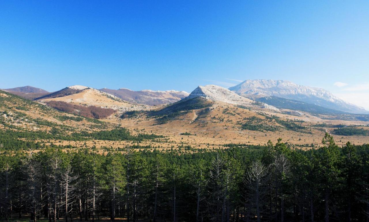 Appartamento Apartman M Knin Esterno foto